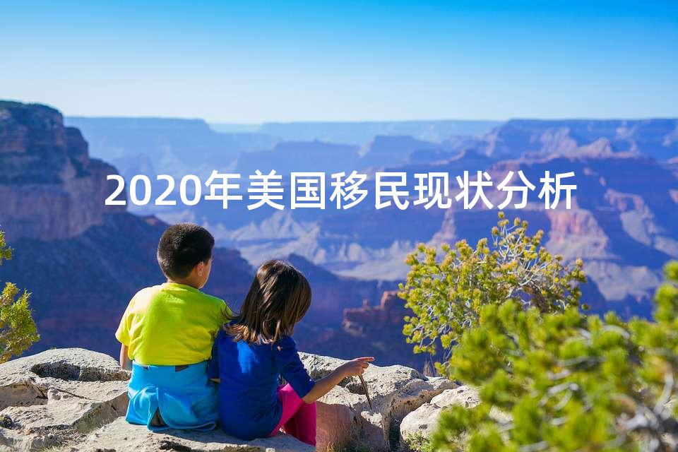 2020年美国移民现状分析