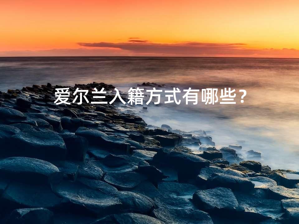 爱尔兰入籍方式有哪些？