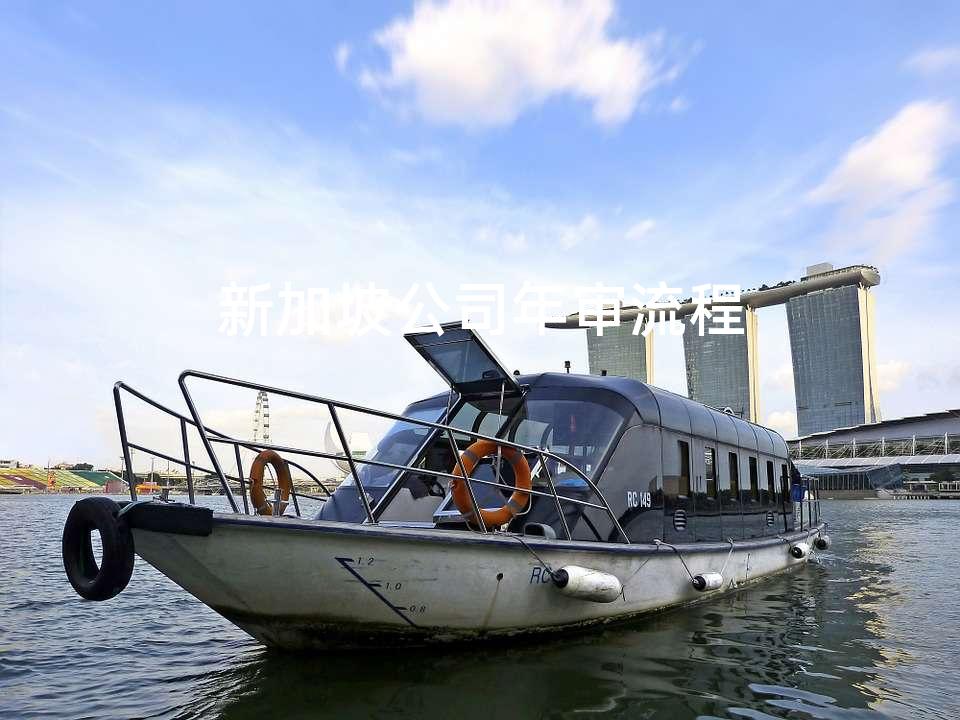 新加坡公司年审流程