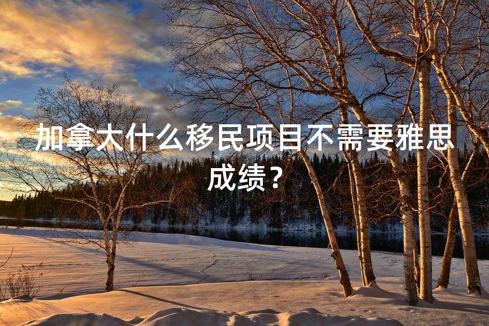 加拿大什么移民项目不需要雅思成绩？