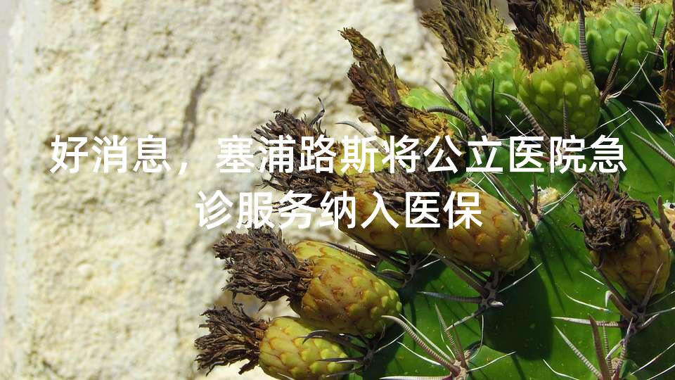 好消息,塞浦路斯将公立医院急诊服务纳入医保 好消息,塞浦路斯将公立医院急诊服务纳入医保