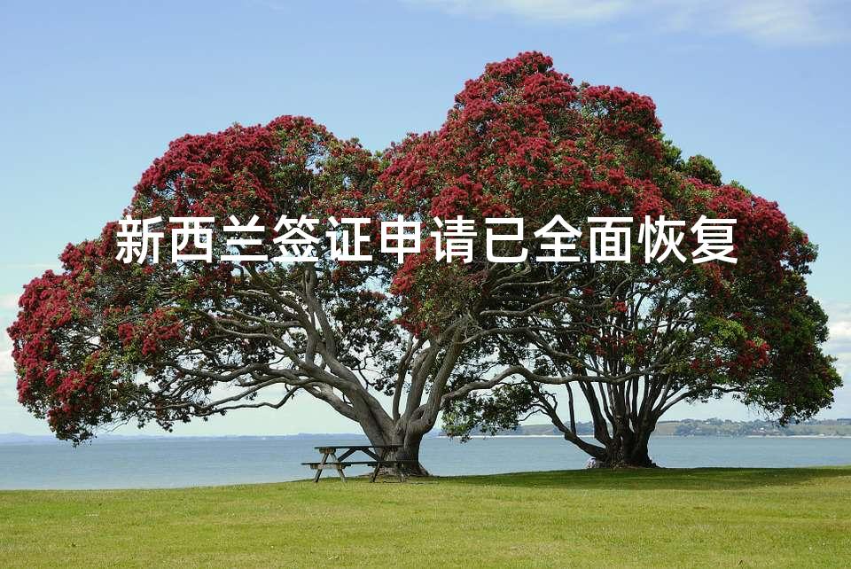 新西兰签证申请已全面恢复