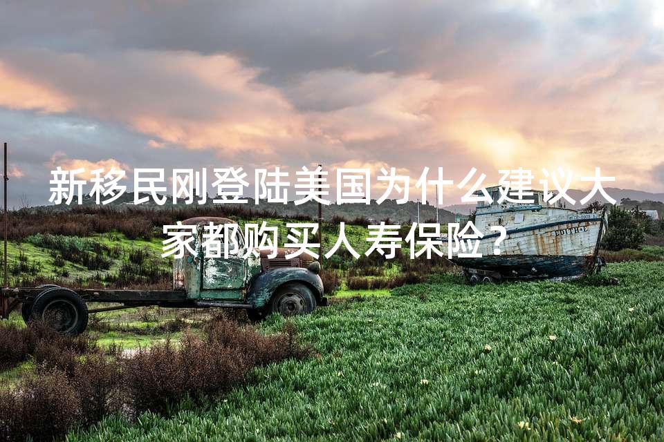 新移民刚登陆美国为什么建议大家都购买人寿保险？