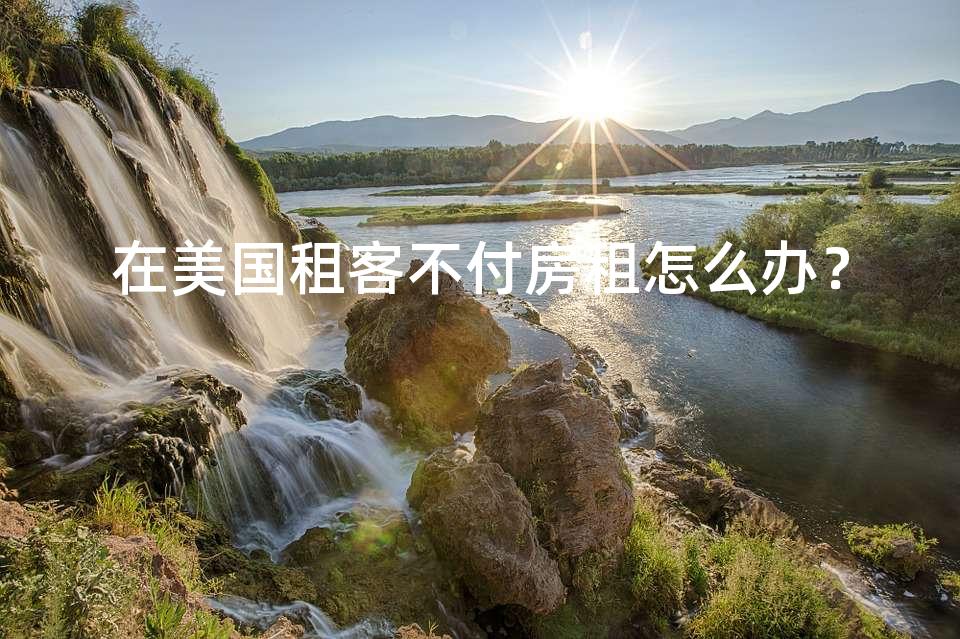 在美国租客不付房租怎么办？