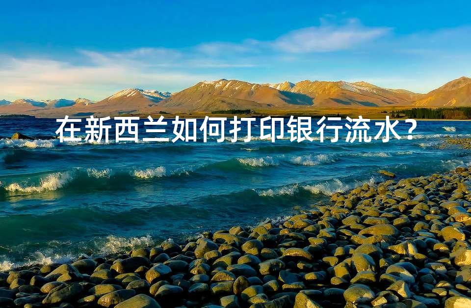 在新西兰如何打印银行流水？