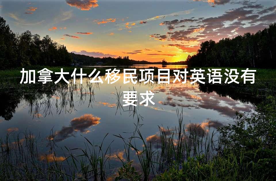 加拿大什么移民项目对英语没有要求