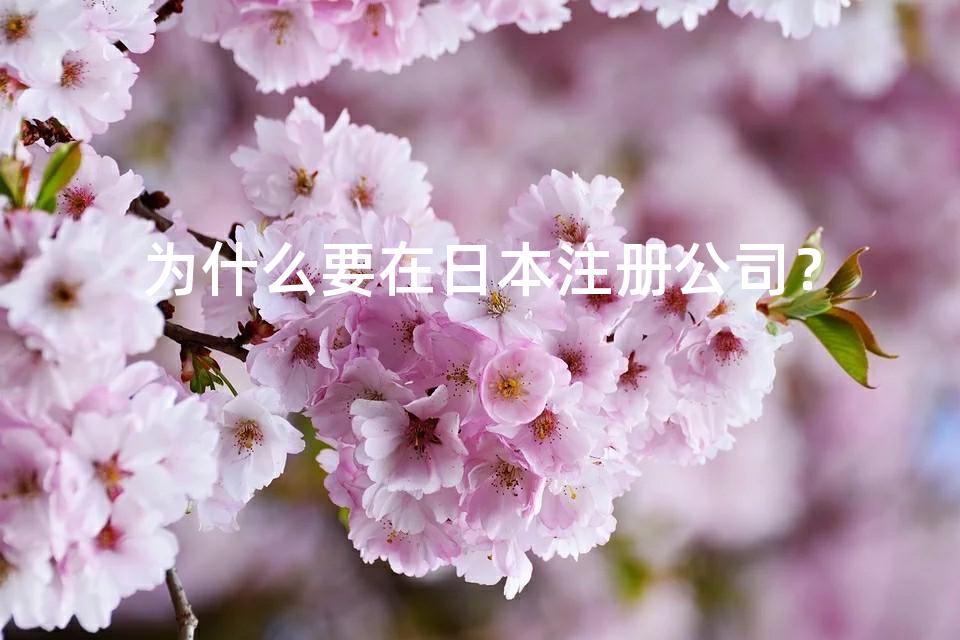 为什么要在日本注册公司？
