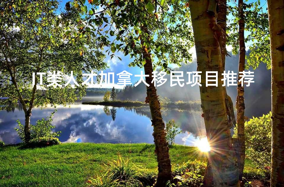 IT类人才加拿大移民项目推荐