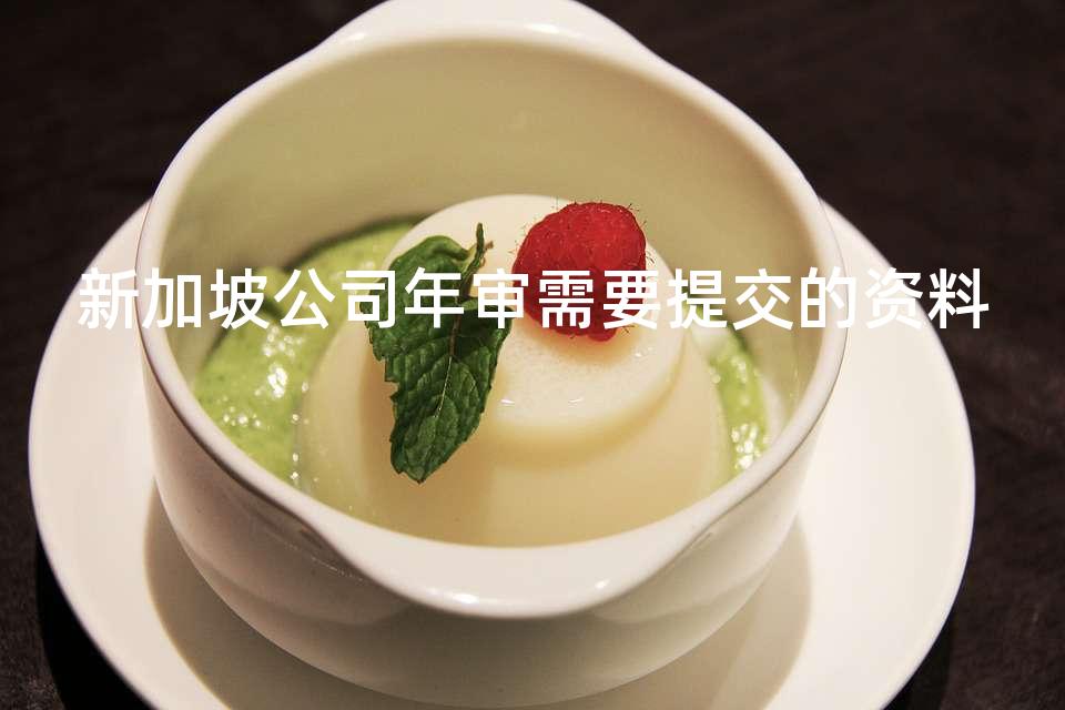 新加坡公司年审需要提交的资料