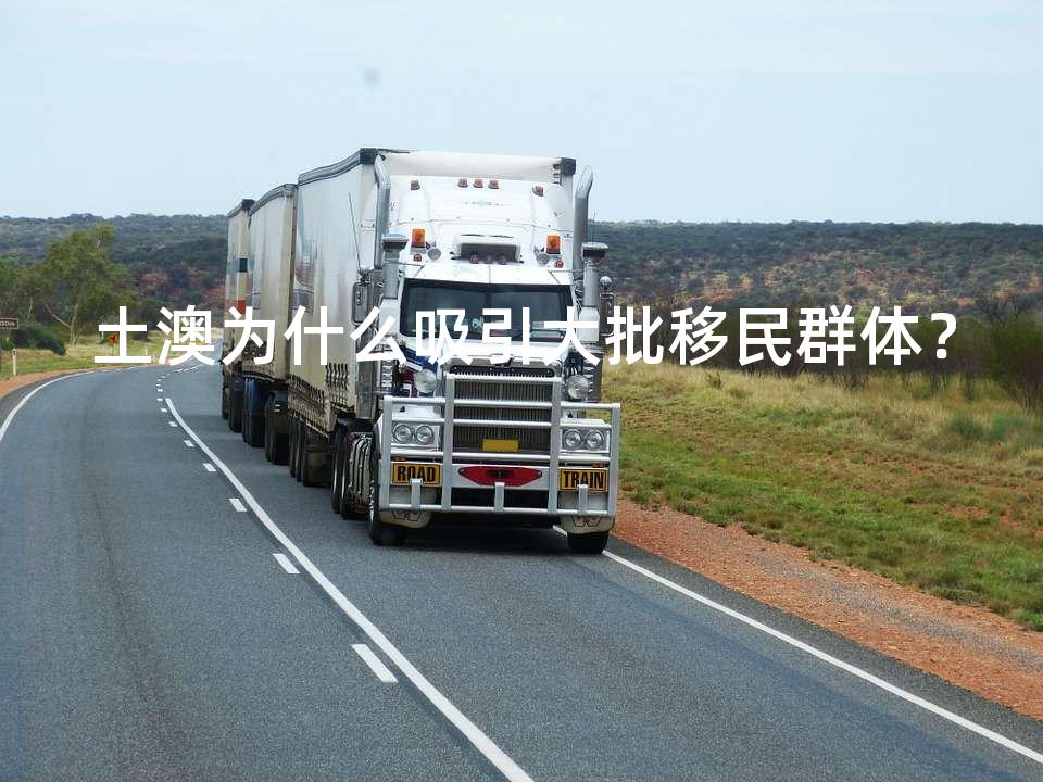 土澳为什么吸引大批移民群体？