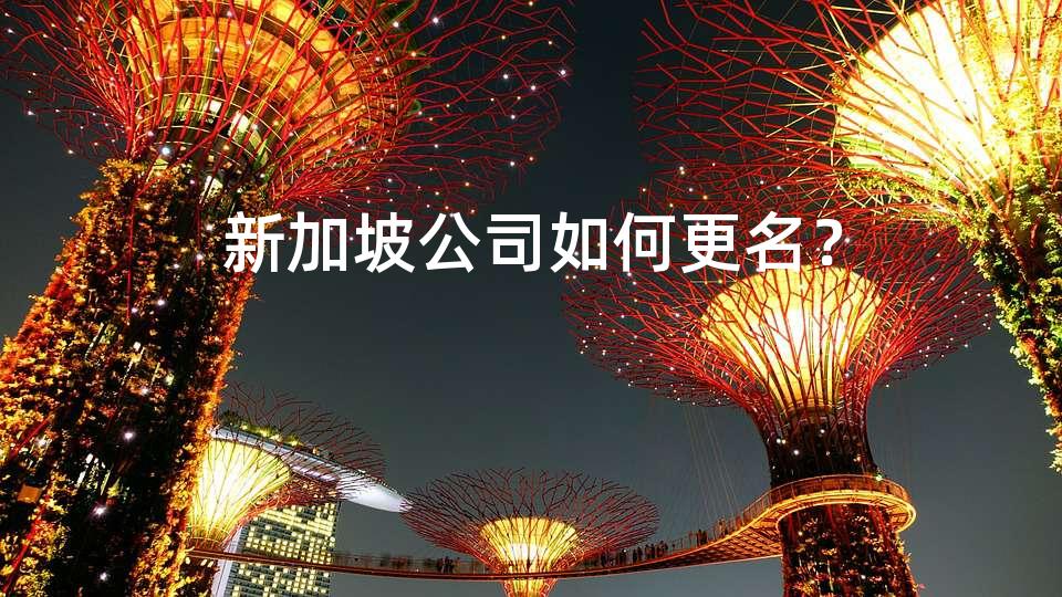 新加坡公司如何更名？