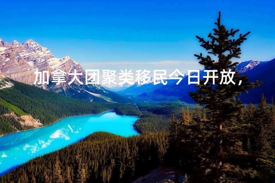 加拿大团聚类移民今日开放