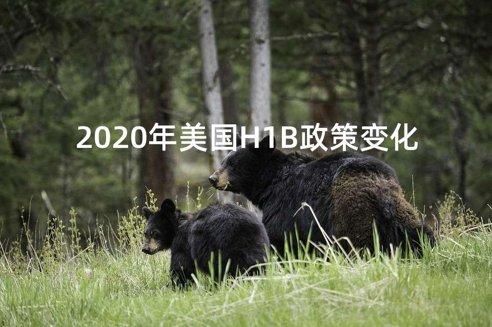 2020年美国H1B政策变化