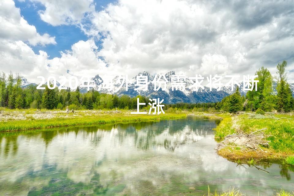 2020年海外身份需求将不断上涨