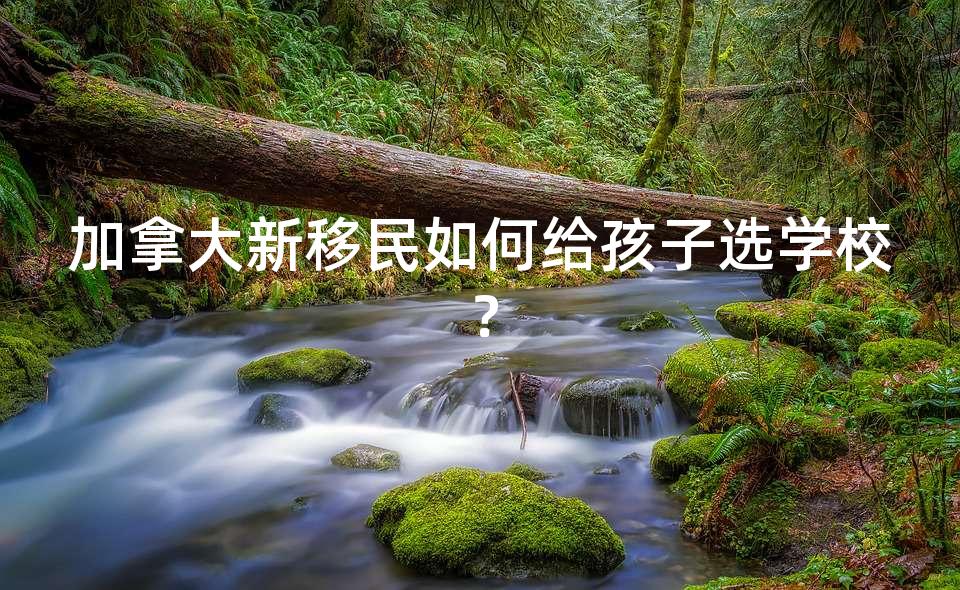 加拿大新移民如何给孩子选学校？