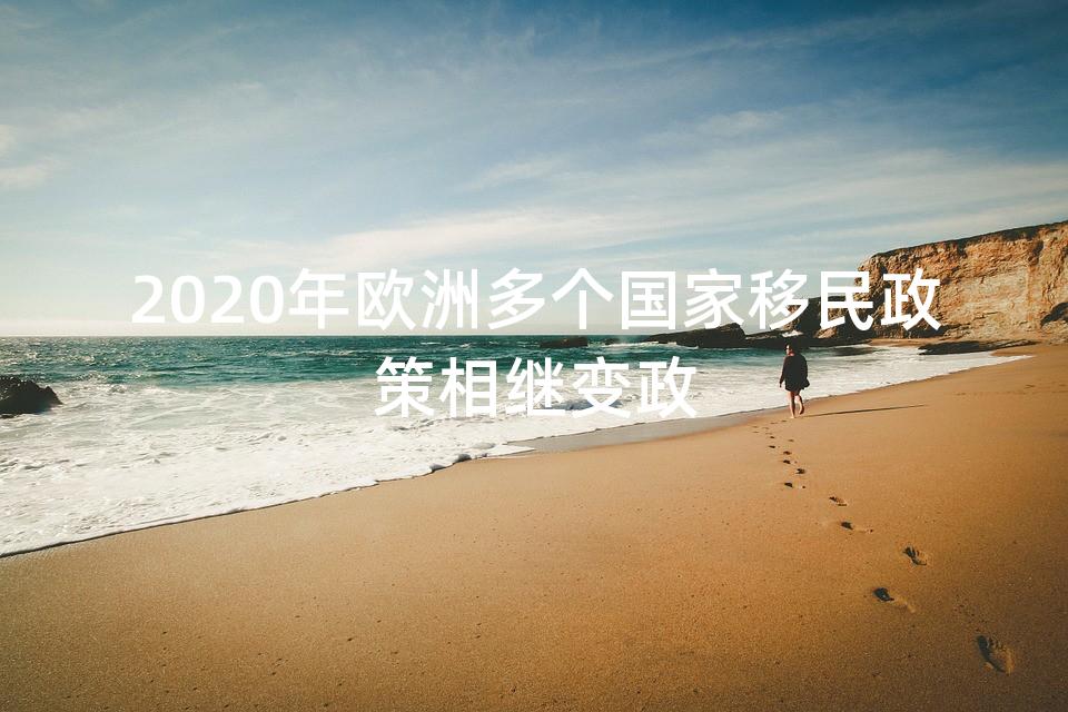 2020年欧洲多个国家移民政策相继变政 2020年欧洲多个国家移民政策相继变政