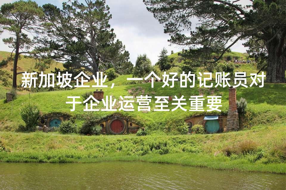 新加坡企业，一个好的记账员对于企业运营至关重要