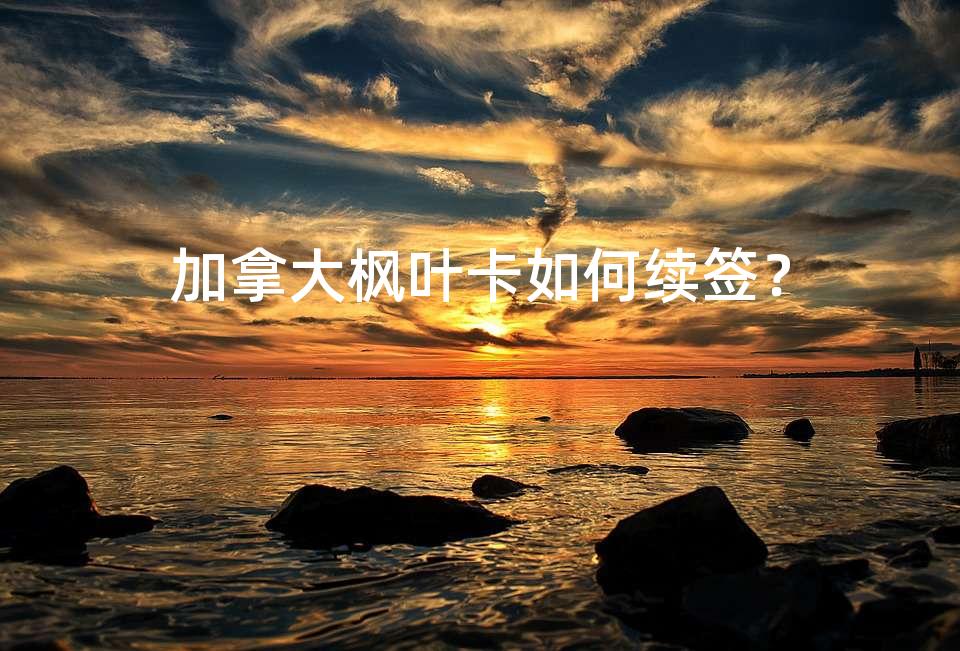 加拿大枫叶卡如何续签？