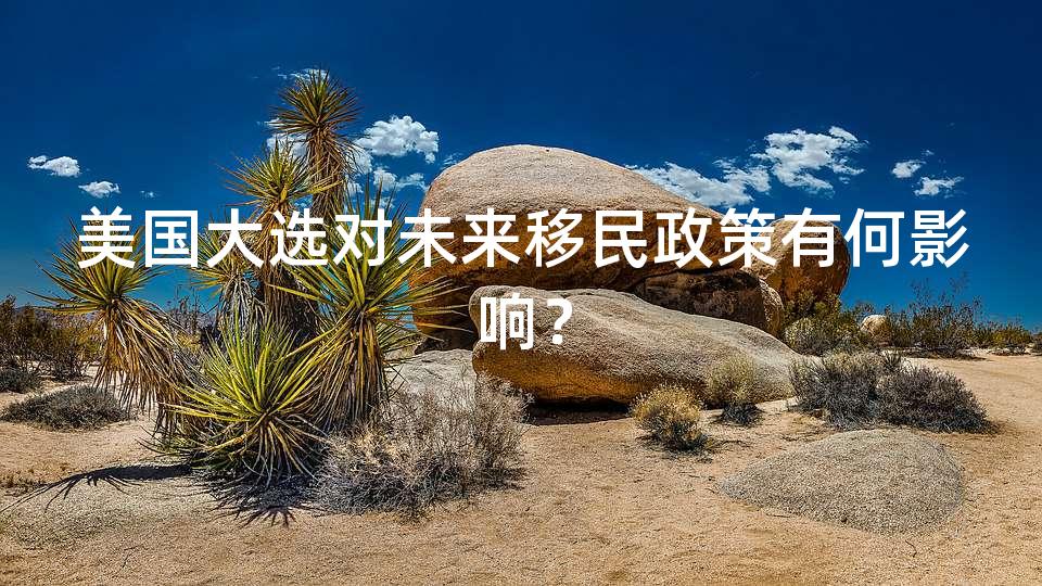 美国大选对未来移民政策有何影响？