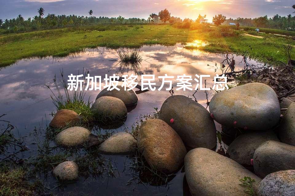 新加坡移民方案汇总