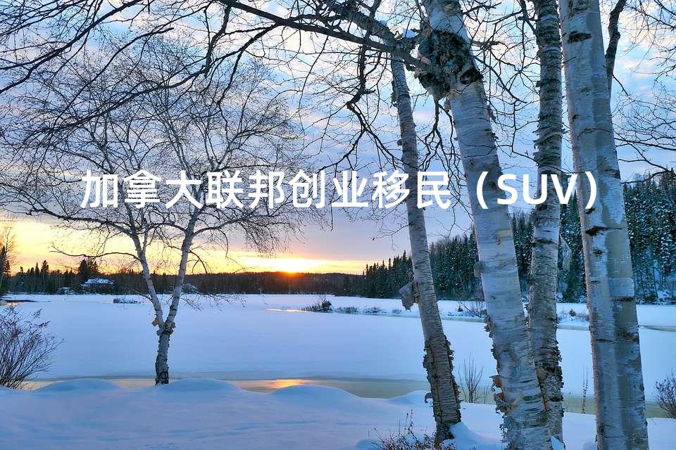 加拿大联邦创业移民(SUV) 加拿大联邦创业移民(SUV)