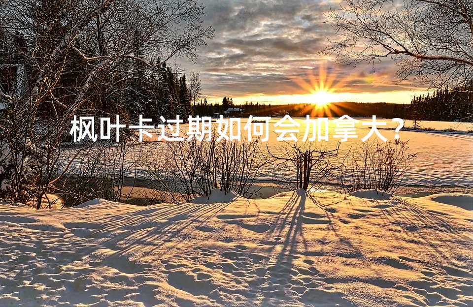 枫叶卡过期如何会加拿大？