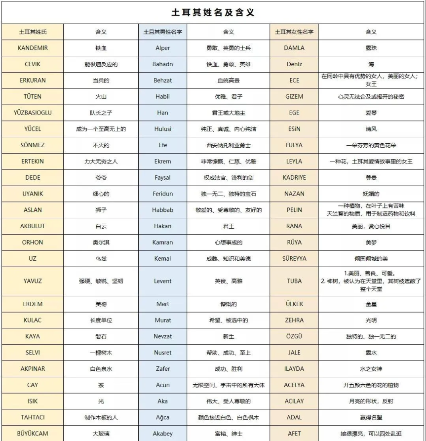 土耳其移民，起名攻略！