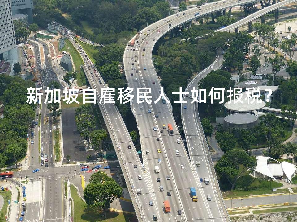 新加坡自雇移民人士如何报税? 新加坡自雇移民人士如何报税?