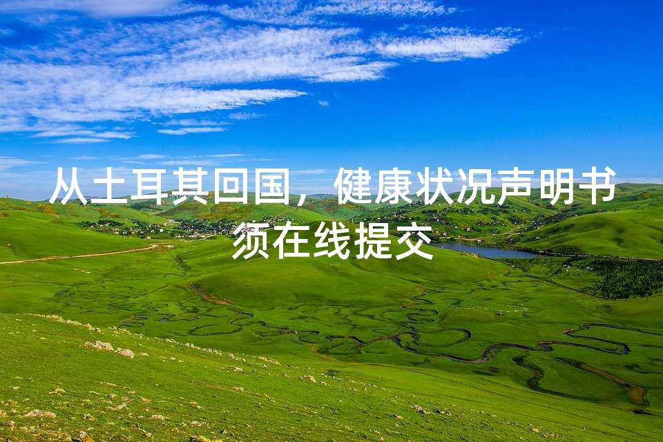 从土耳其回国,健康状况声明书须在线提交 从土耳其回国,健康状况声明书须在线提交