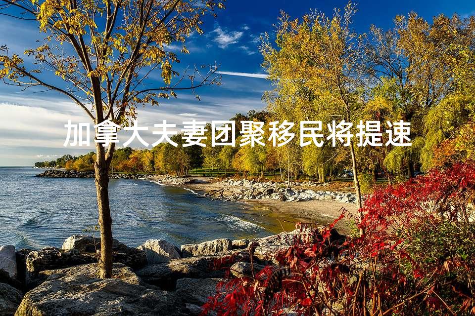 加拿大夫妻团聚移民将提速