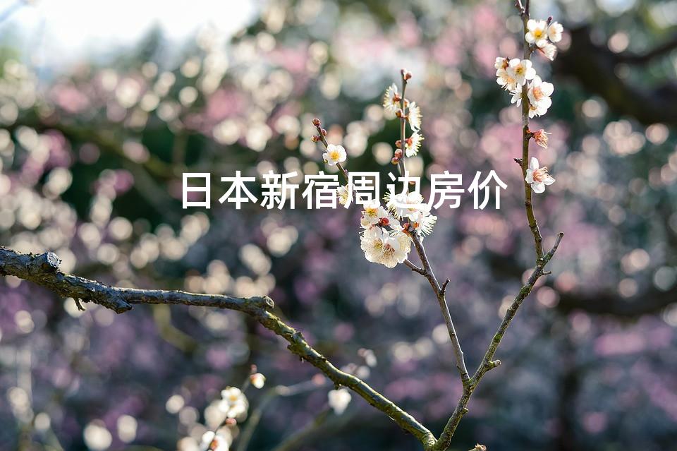 日本新宿周边房价 日本新宿周边房价