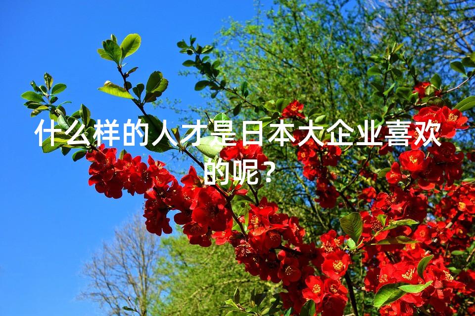 什么样的人才是日本大企业喜欢的呢？