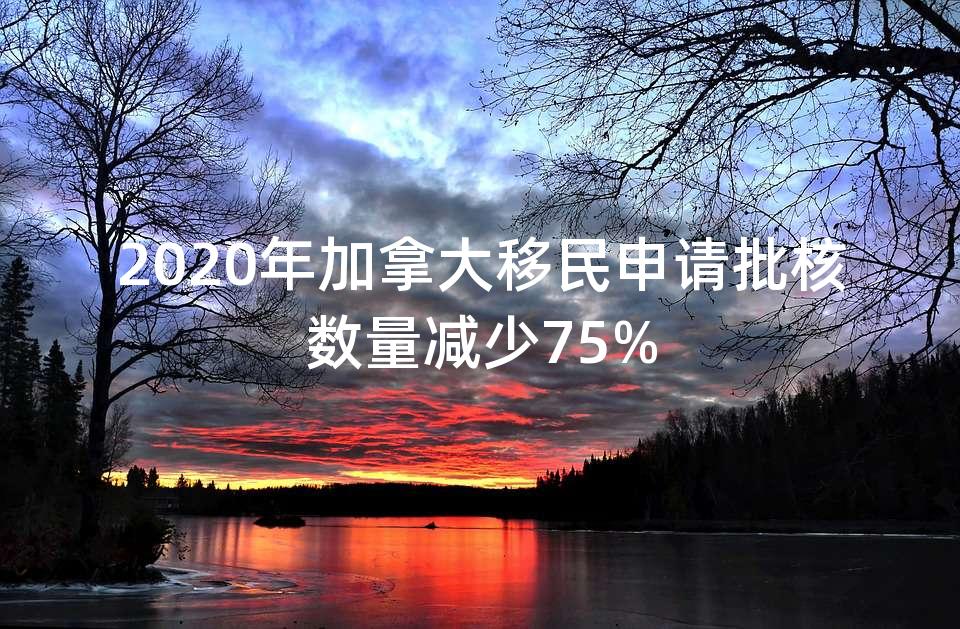 2020年加拿大移民申请批核数量减少75% 2020年加拿大移民申请批核数量减少75%