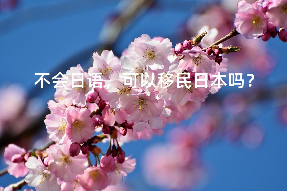 不会日语，可以移民日本吗？