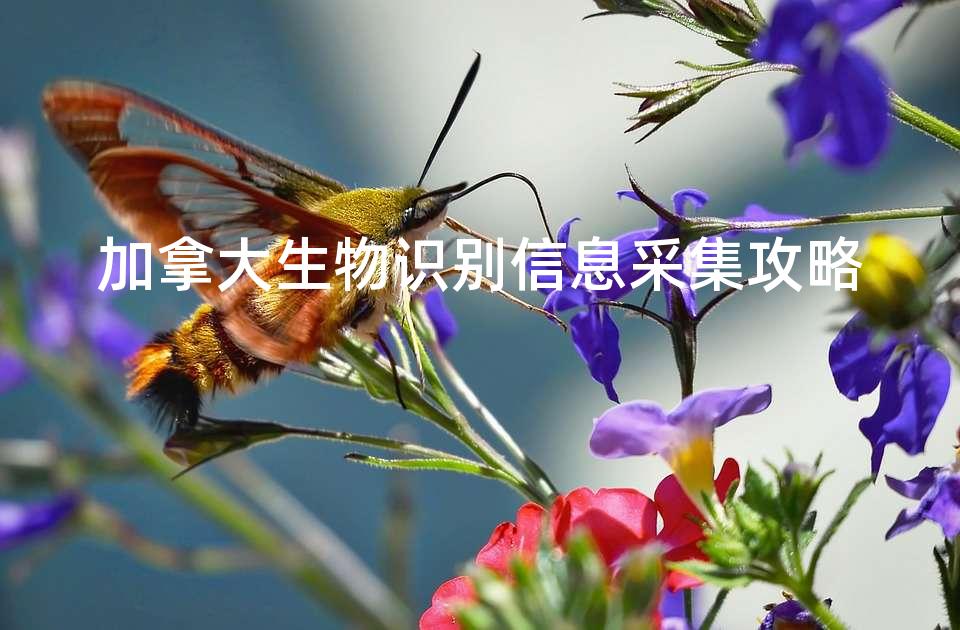 加拿大生物识别信息采集攻略