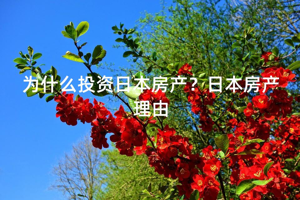 为什么投资日本房产？日本房产理由