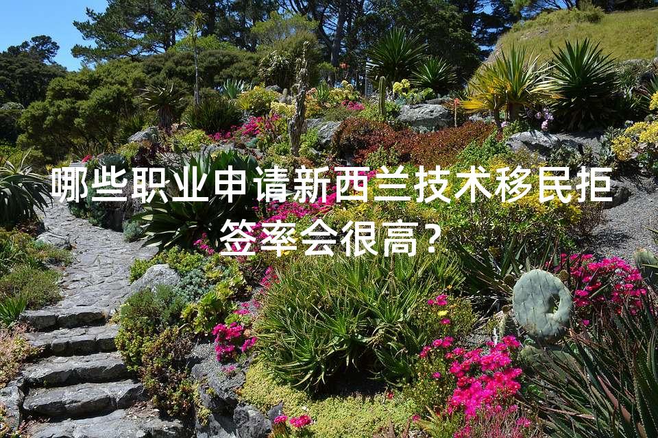 哪些职业申请新西兰技术移民拒签率会很高？