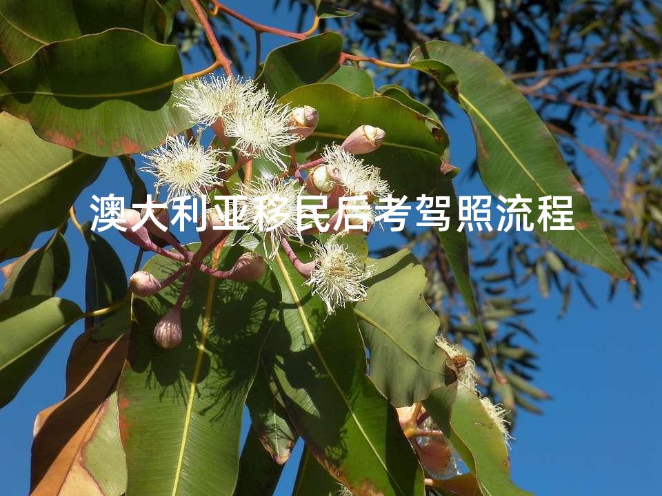 澳大利亚移民后考驾照流程