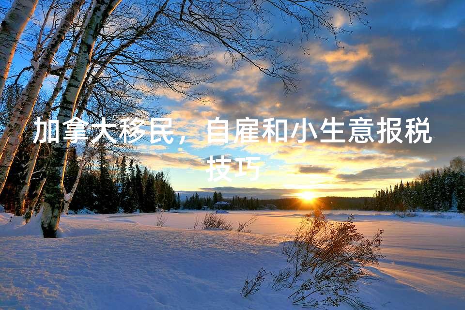 加拿大移民，自雇和小生意报税技巧