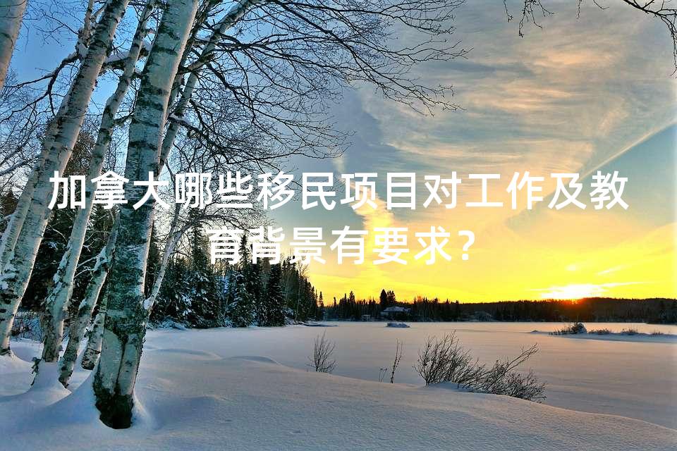 加拿大哪些移民项目对工作及教育背景有要求？