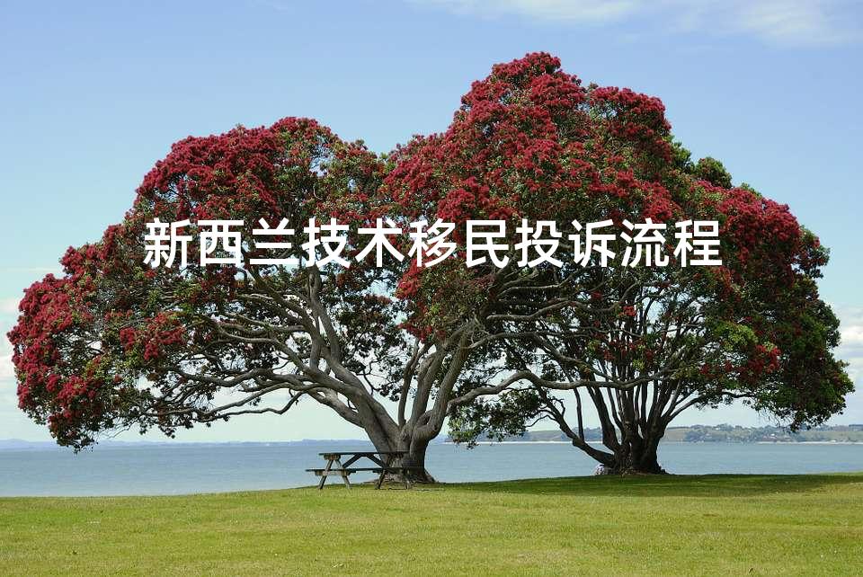 新西兰技术移民投诉流程