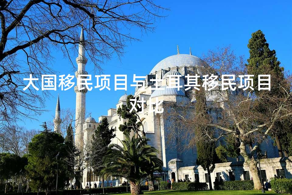 大国移民项目与土耳其移民项目对比
