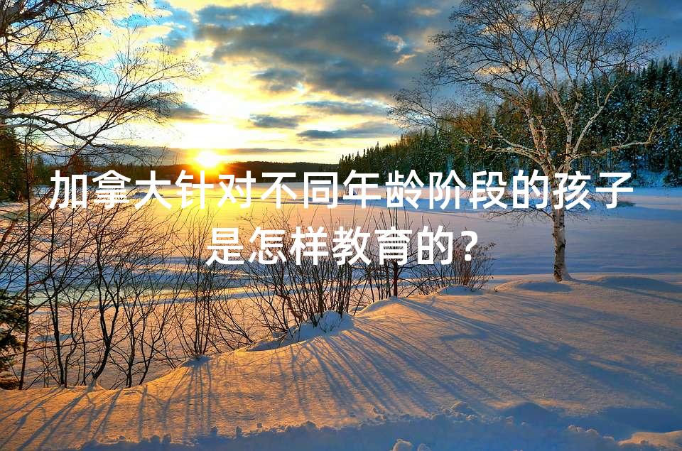 加拿大针对不同年龄阶段的孩子是怎样教育的？