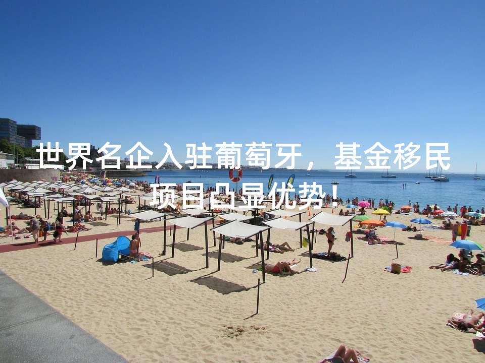 世界名企入驻葡萄牙，基金移民项目凸显优势！