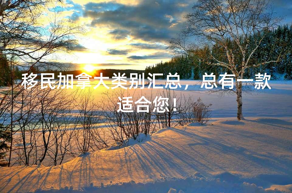 移民加拿大类别汇总，总有一款适合您！