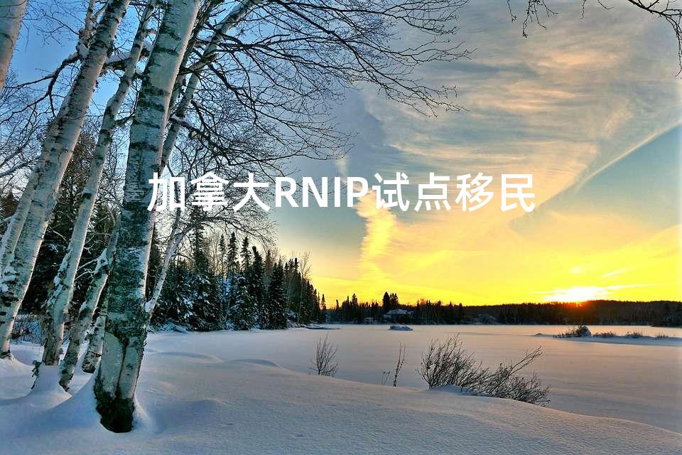 加拿大RNIP试点移民