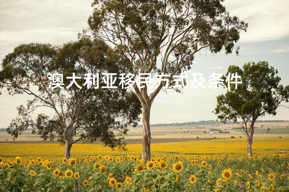 澳大利亚移民方式及条件