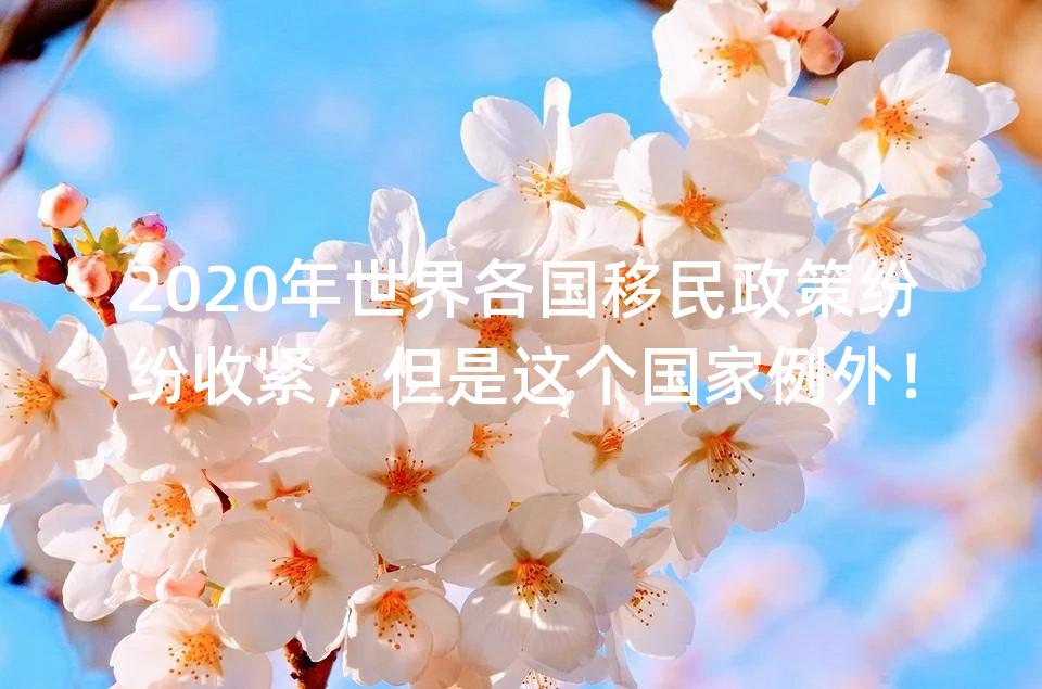 2020年世界各国移民政策纷纷收紧，但是这个国家例外！