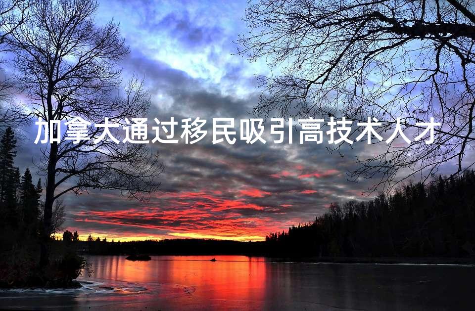 加拿大通过移民吸引高技术人才 加拿大通过移民吸引高技术人才