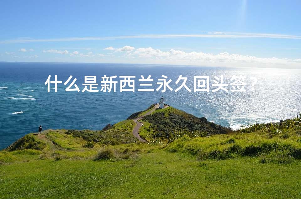 什么是新西兰永久回头签？